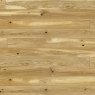 Podłoga drewniana, deska Barlinecka Dąb Conchi Piccolo Barlinek Pure Line