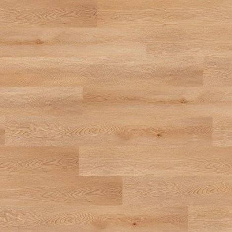 Panele winylowe Montoro Premium Plank Nomad Flo z rdzeniem kompozytowym + podkład