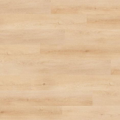 Panele winylowe Arinaga Premium Plank Nomad Flo z rdzeniem kompozytowym + podkład