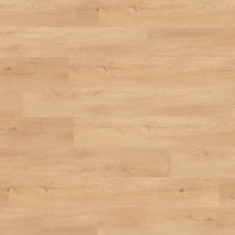 Panele winylowe Conil Premium Plank Nomad Flo z rdzeniem kompozytowym + podkład