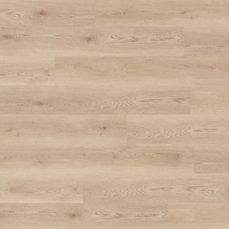 Panele winylowe Moya Premium Plank Nomad Flo z rdzeniem kompozytowym + podkład