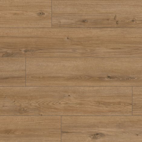 Panele podłogowe Dąb Vito AC5 8mm Pura 4V WR Classen